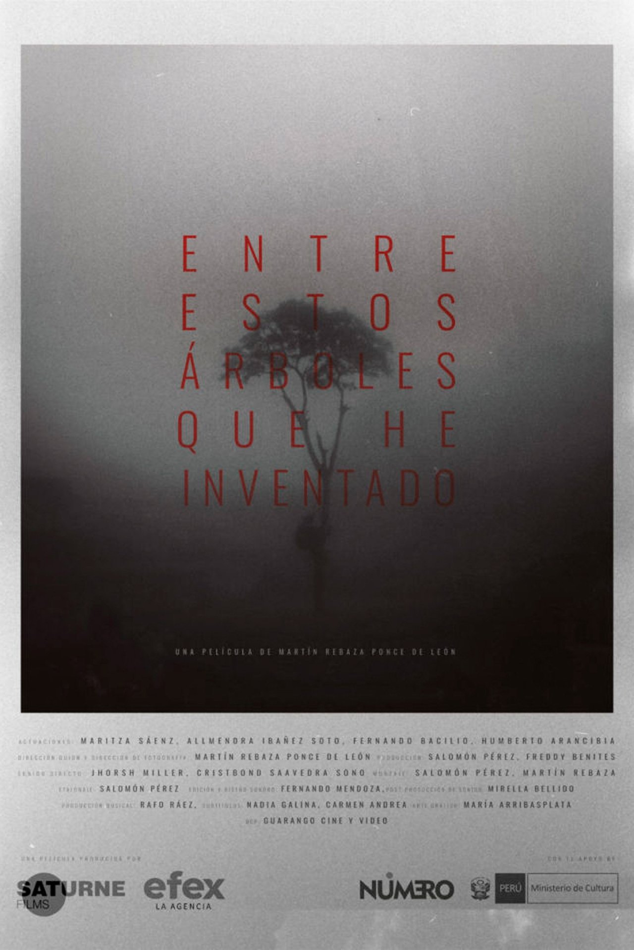 enlarged Poster 0