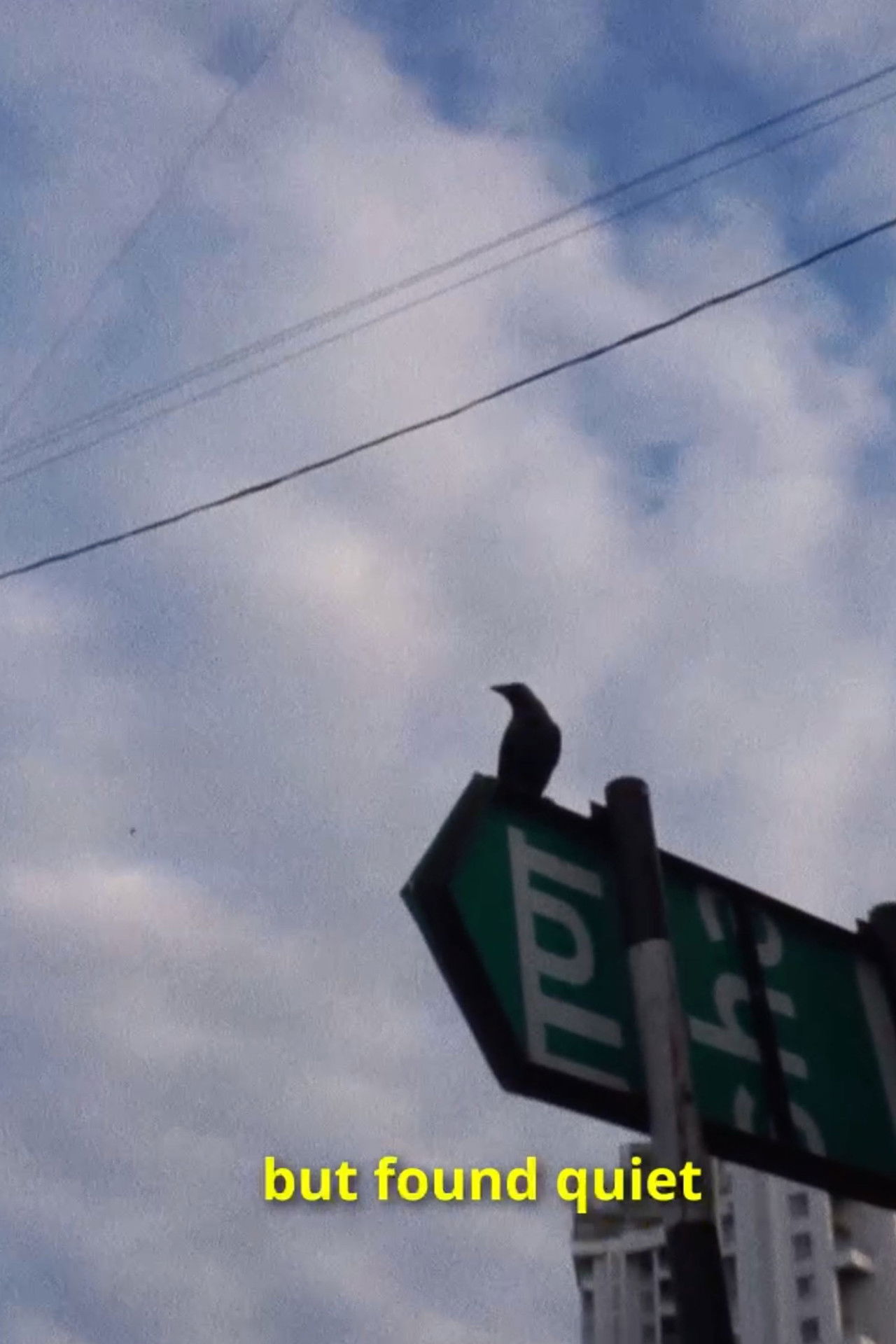 Why Do I Keep Looking at Myself?