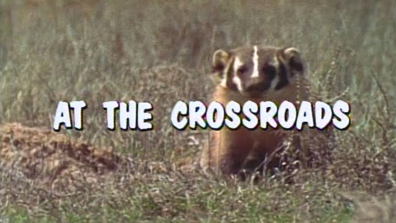 At the Crossroads
