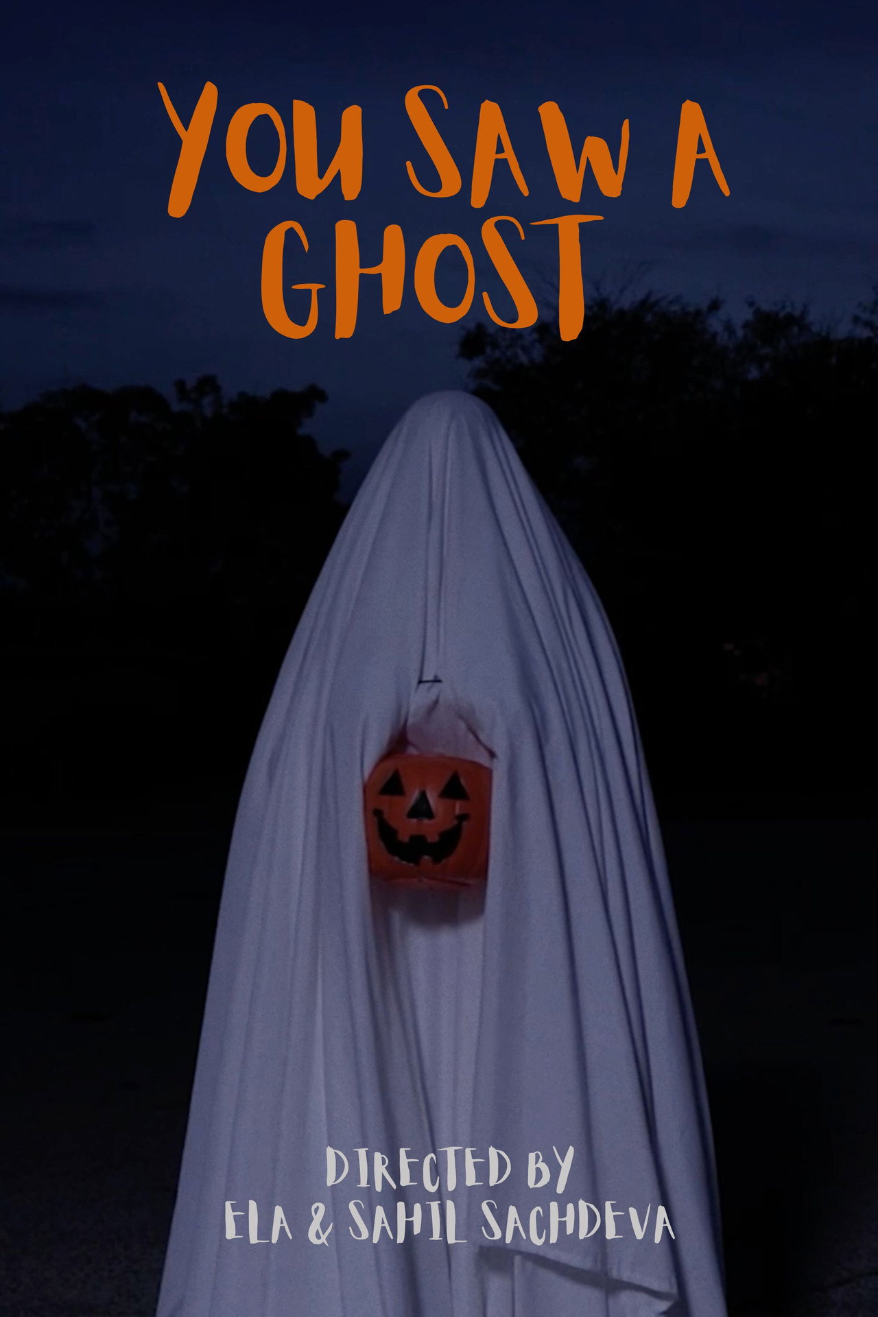You Saw a Ghost