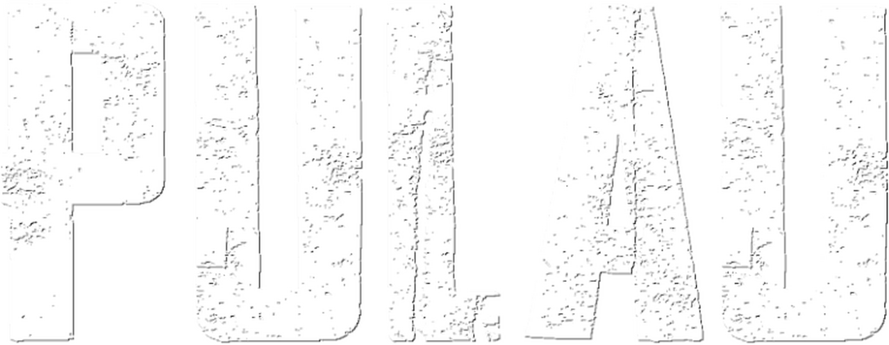 enlarged Logo 0