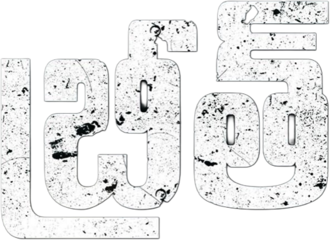 enlarged Logo 0