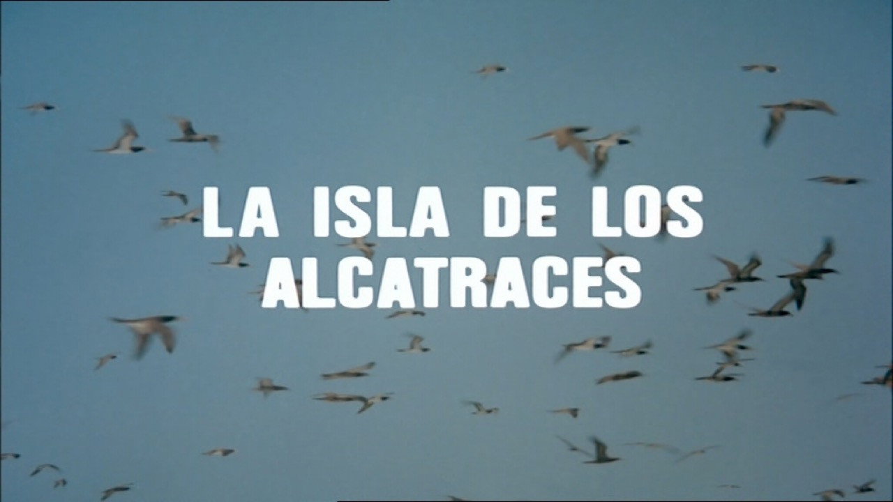 The Island of the Gannets