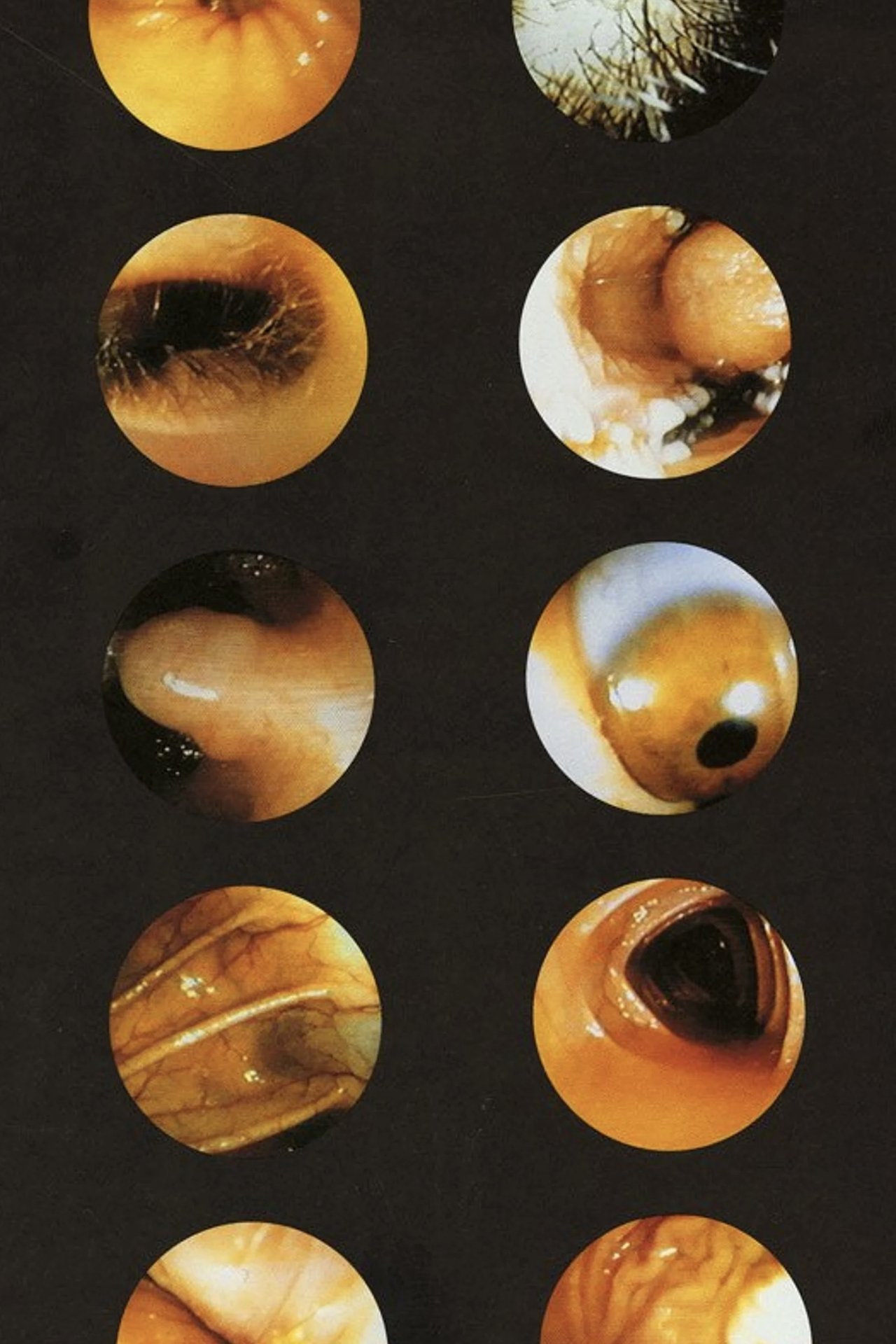 enlarged Poster 0