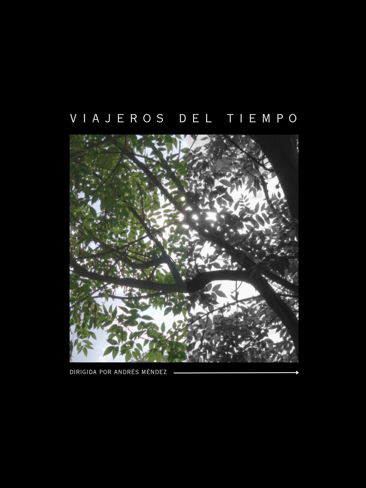 Viajeros del tiempo