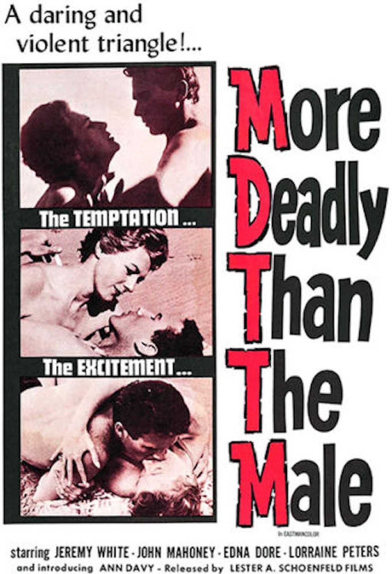enlarged Poster 0