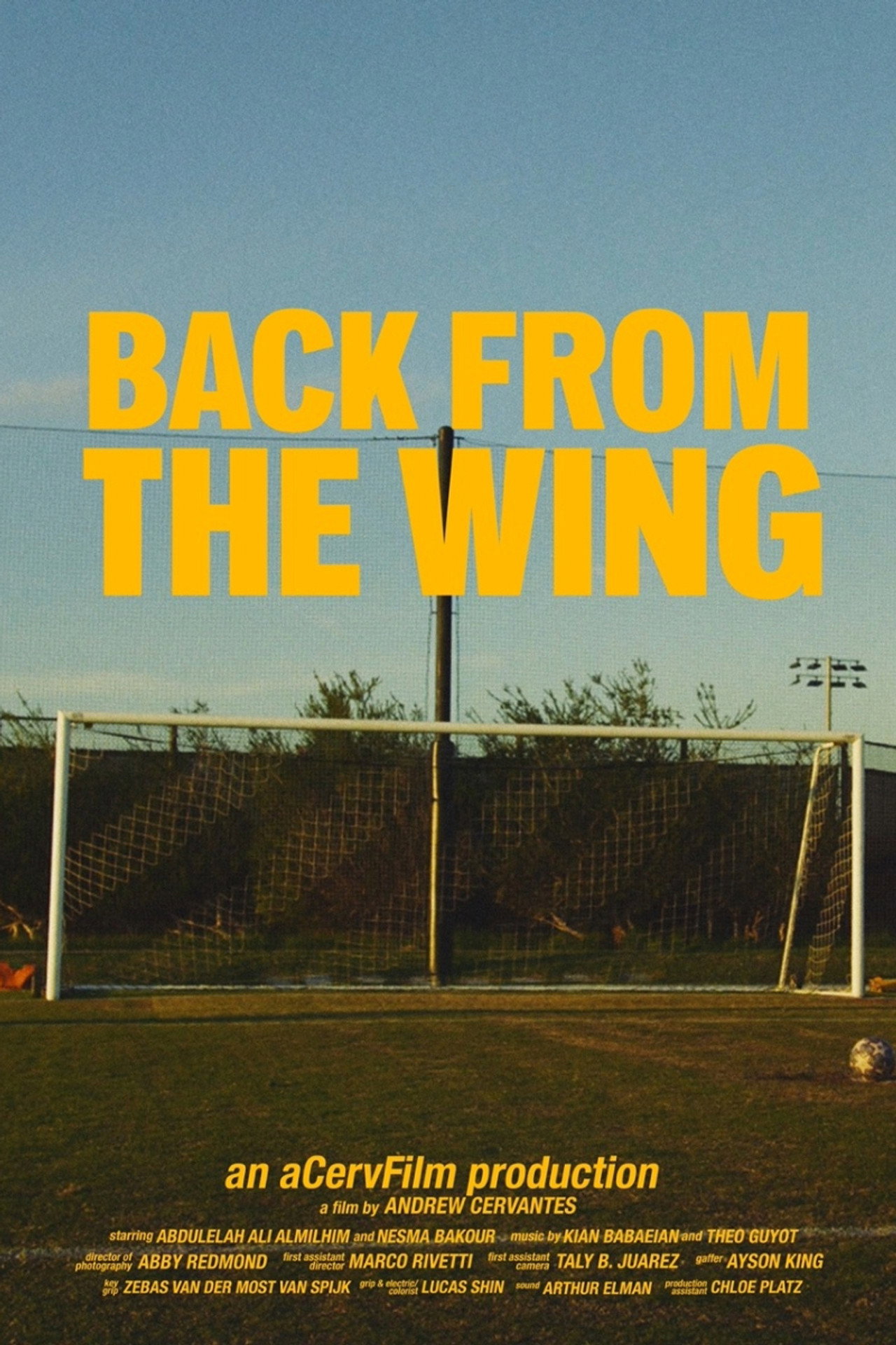 Back from the Wing