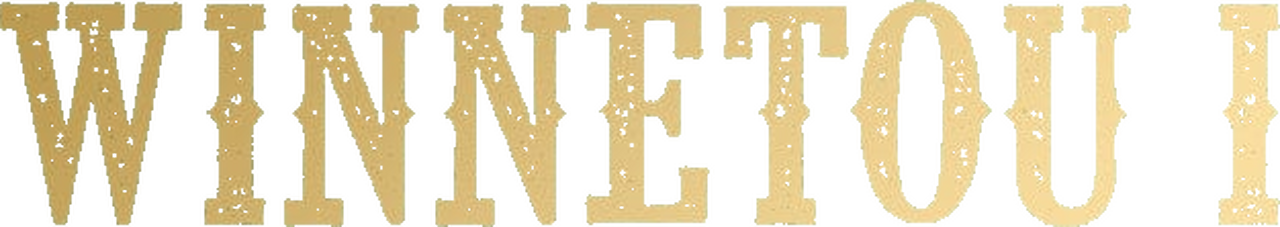 enlarged Logo 0