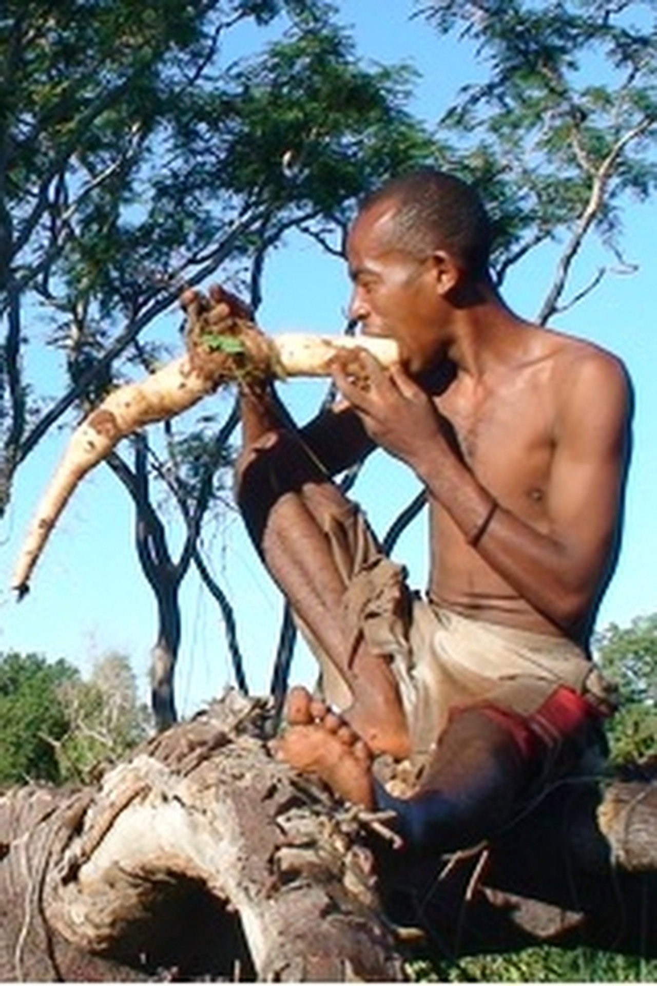 Rendala, le Mikea (2015)