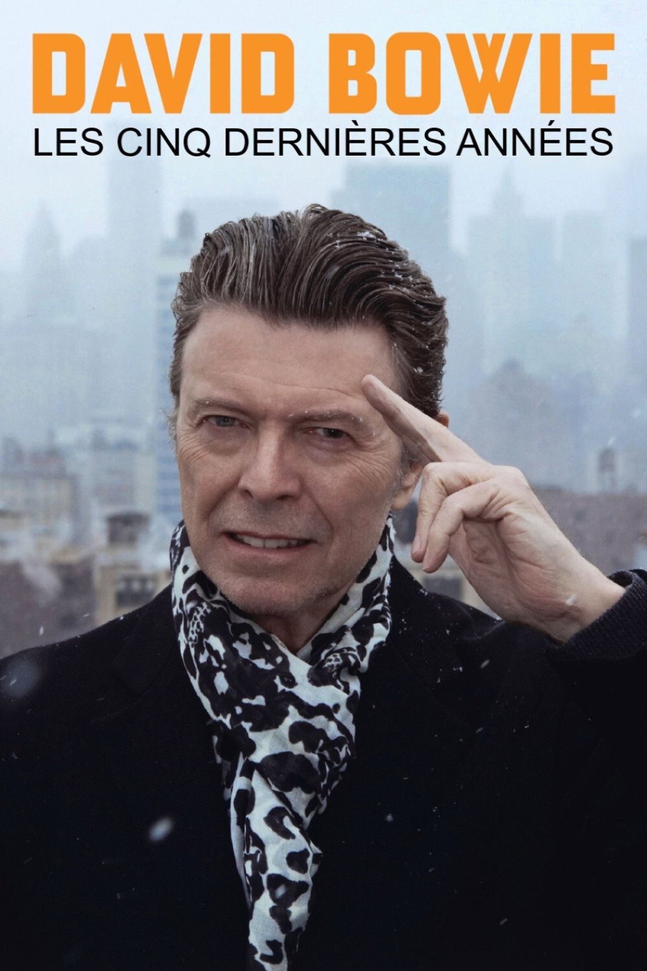 David Bowie, les cinq dernières années poster
