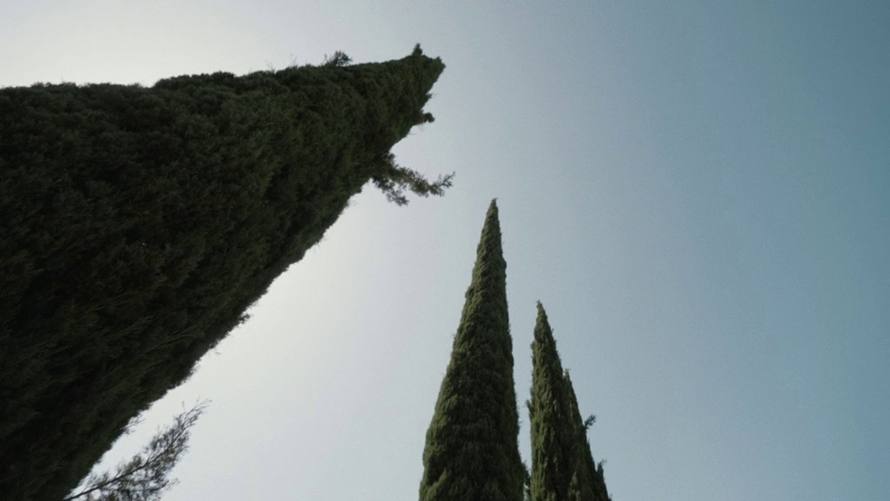 A Plot, A Scandal backdrop