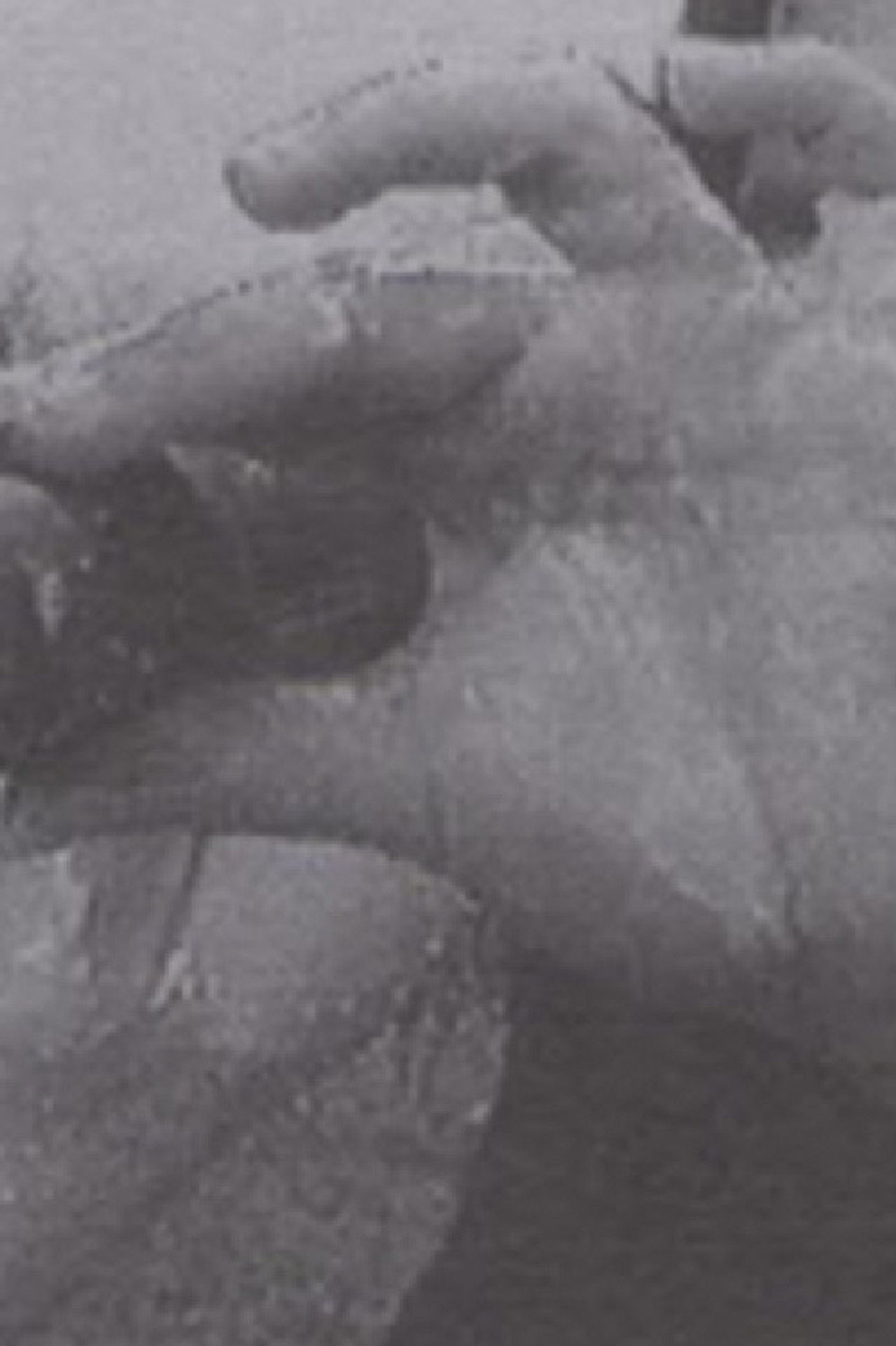 Luna 10 (The Butterfly Effect of Geography) Backdrop