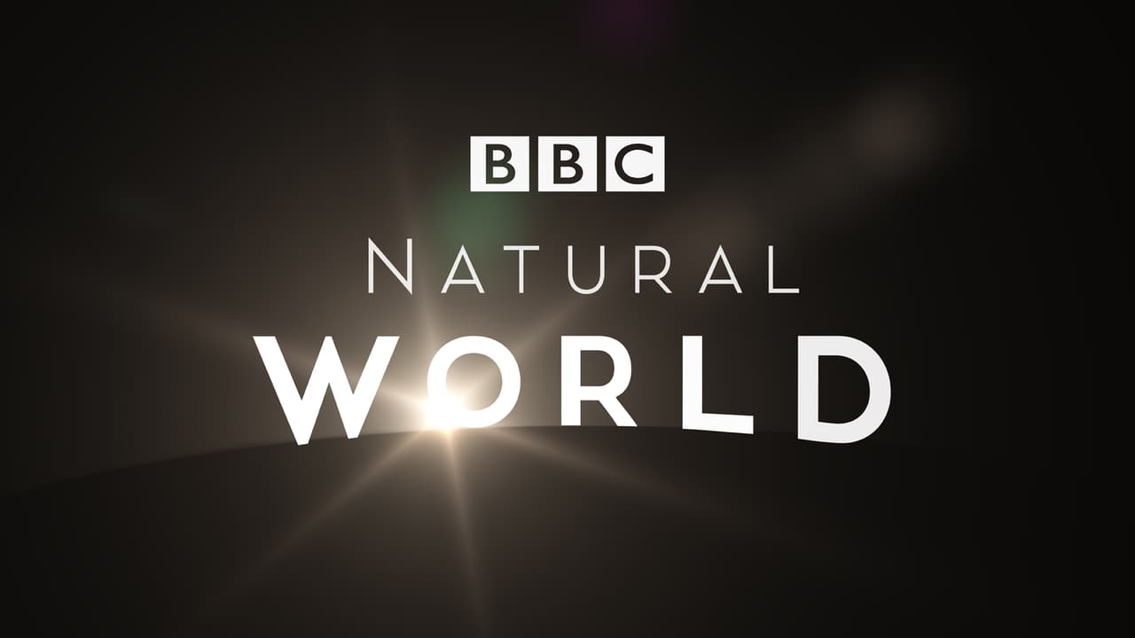 Natural World - Season 10 Episode 13 : Mpingo: The Tree That Makes Music