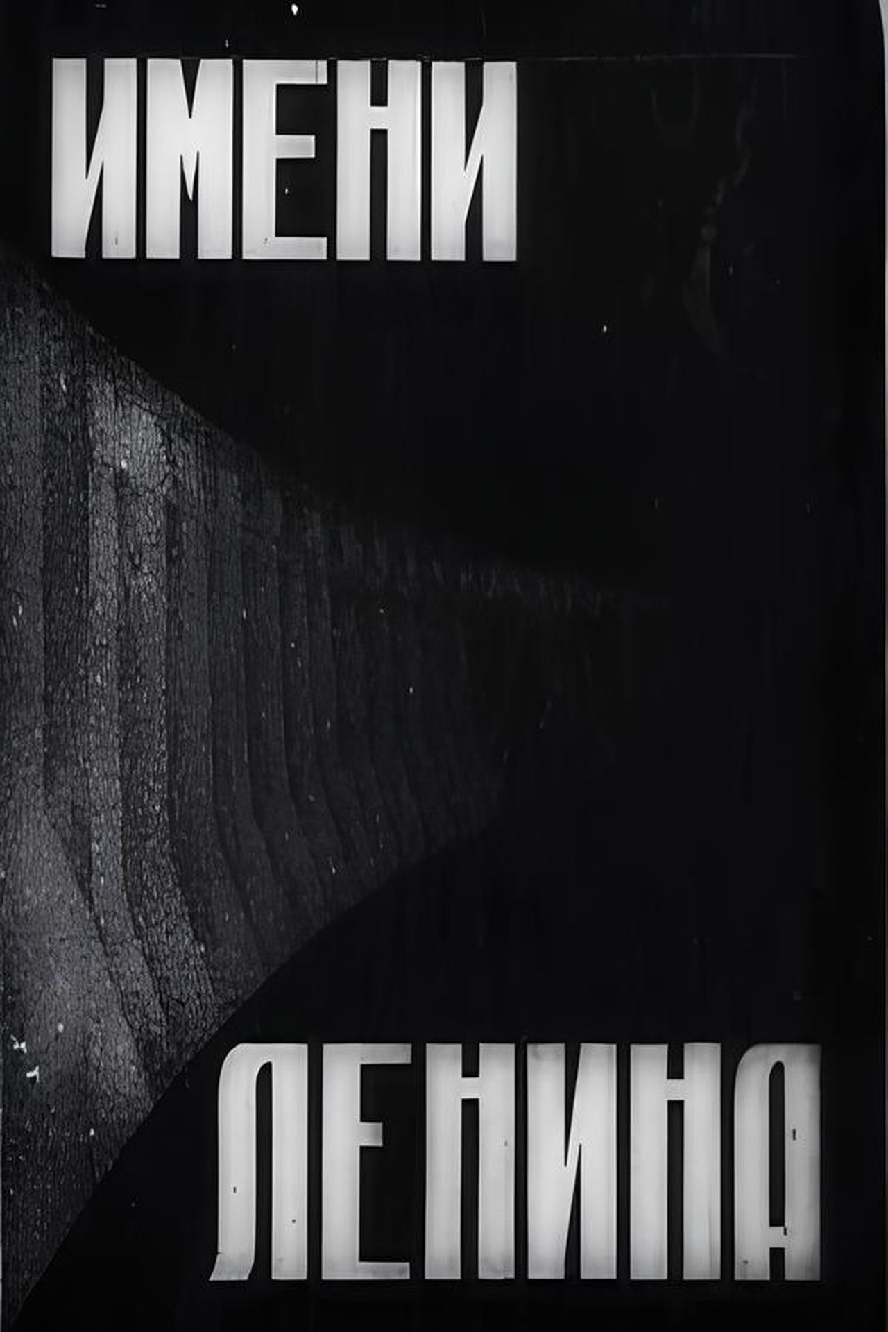 مشاهدة فيلم In the Name of Lenin مترجم بدون اعلانات - بوستر