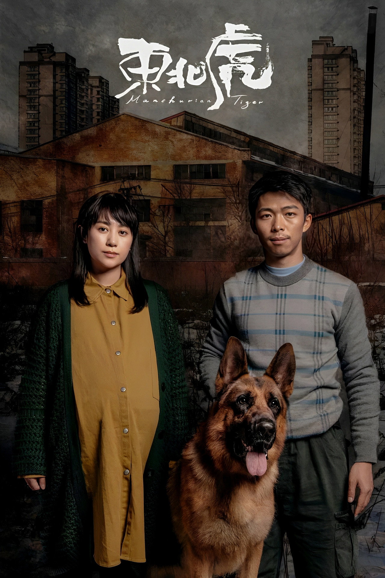 东北虎 filmaffisch