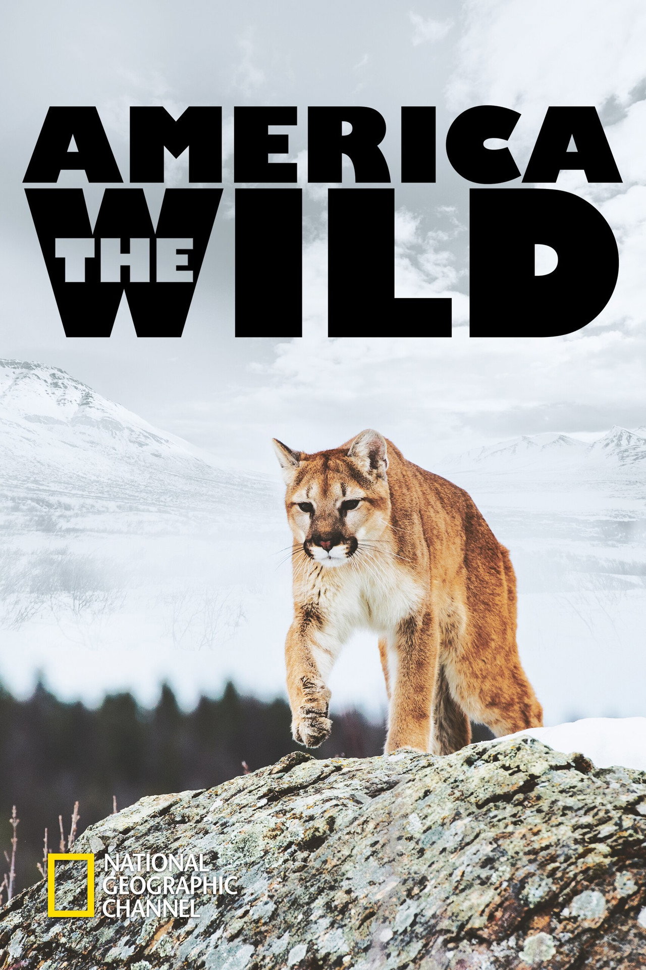 America the Wild with Casey Anderson affisch