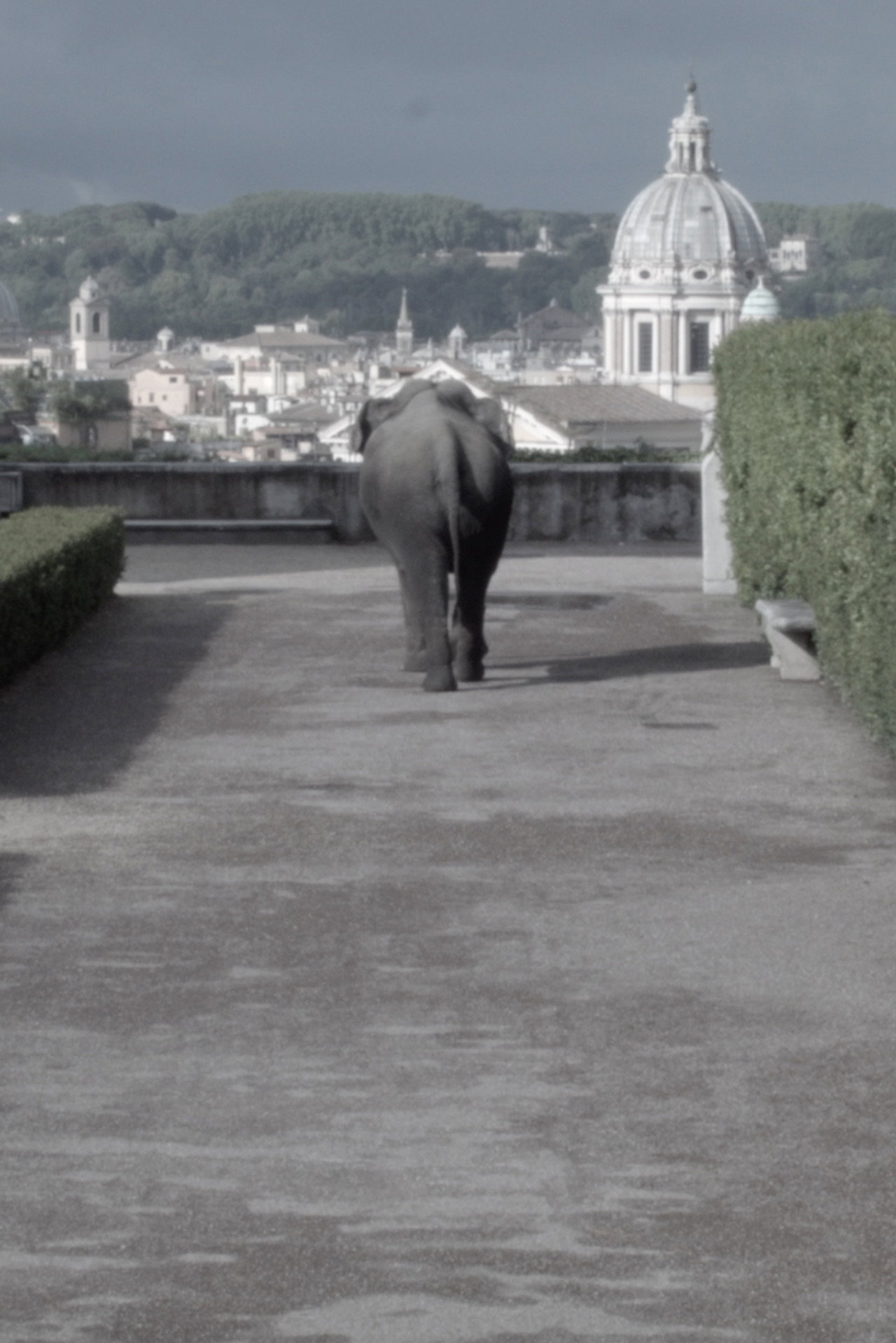 Metodo dei Loci