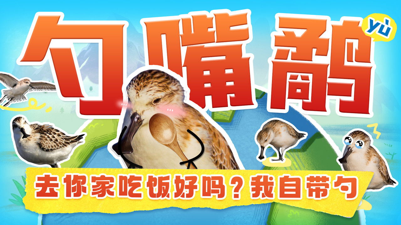 斑马百科探索 — Épisode 37