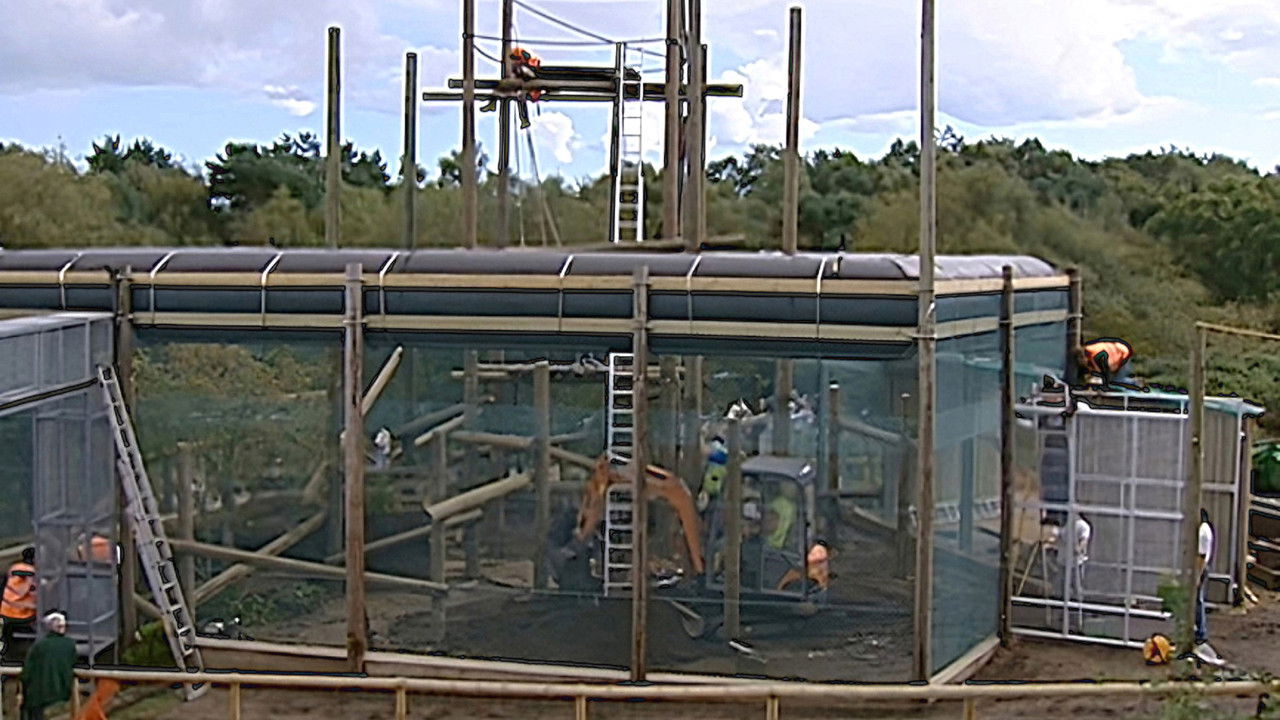 Monkey Business — Épisode 12