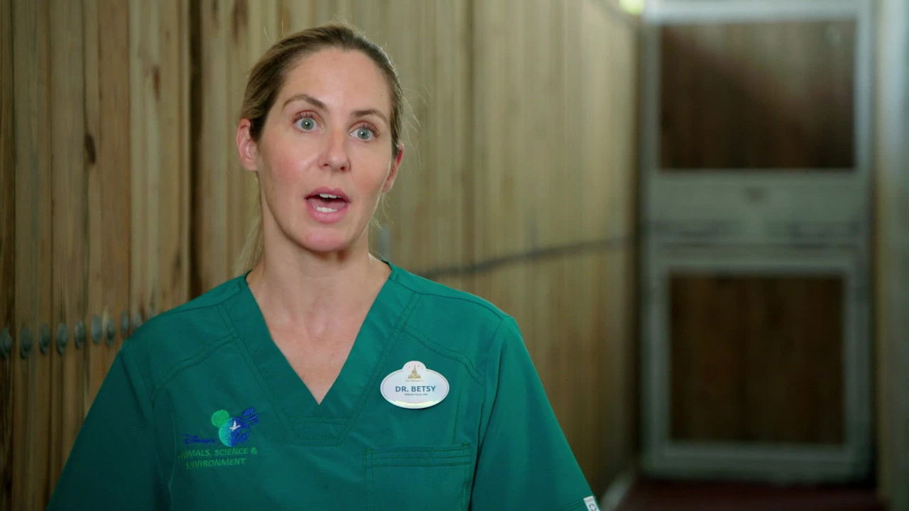 Au cœur de Disney's Animal Kingdom — Épisode 6