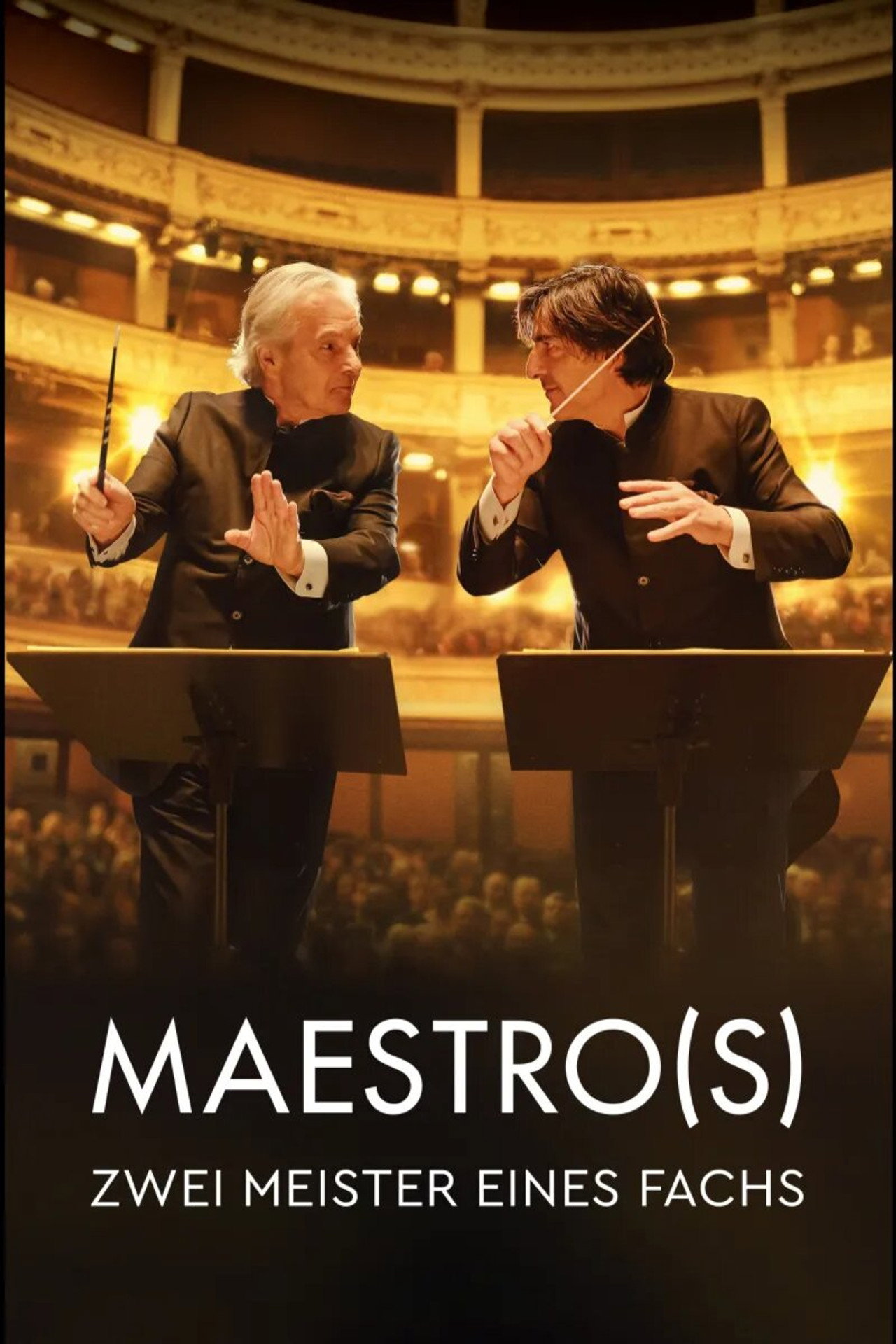 Maestro(s) - Zwei Meister eines Fachs