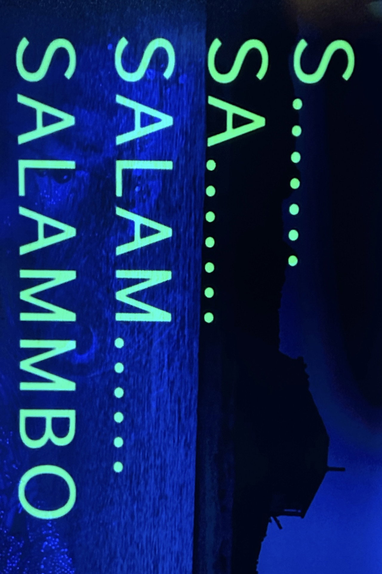 S... Sa... Salam... Salammbô… Backdrop