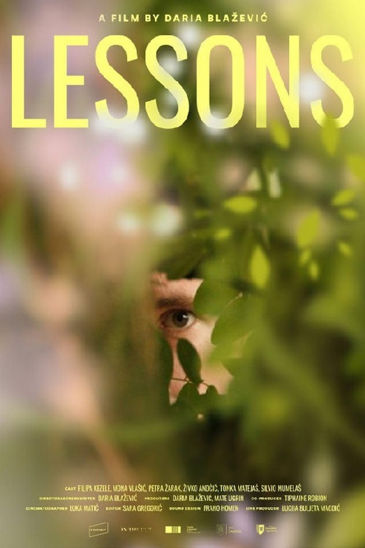 Lessons Backdrop