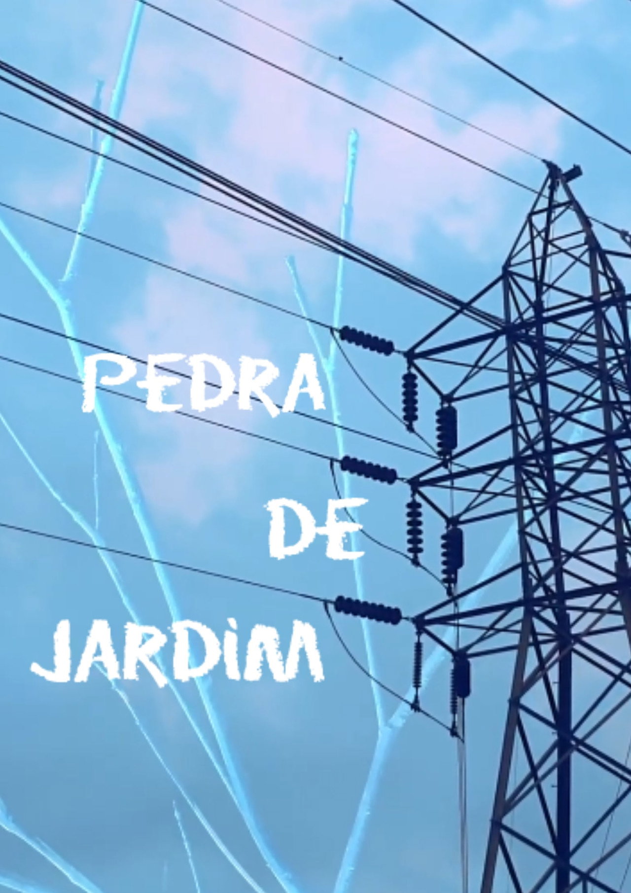 pedra de jardim poster