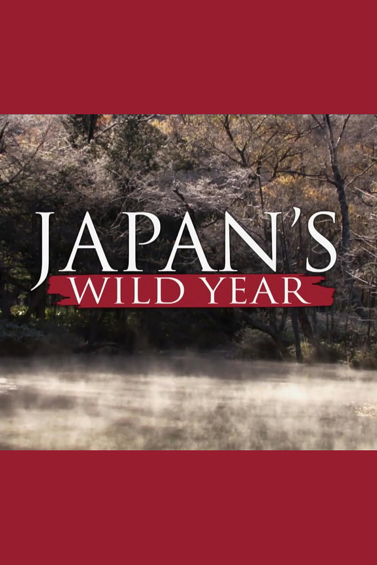 Japan's Wild Year filmaffisch