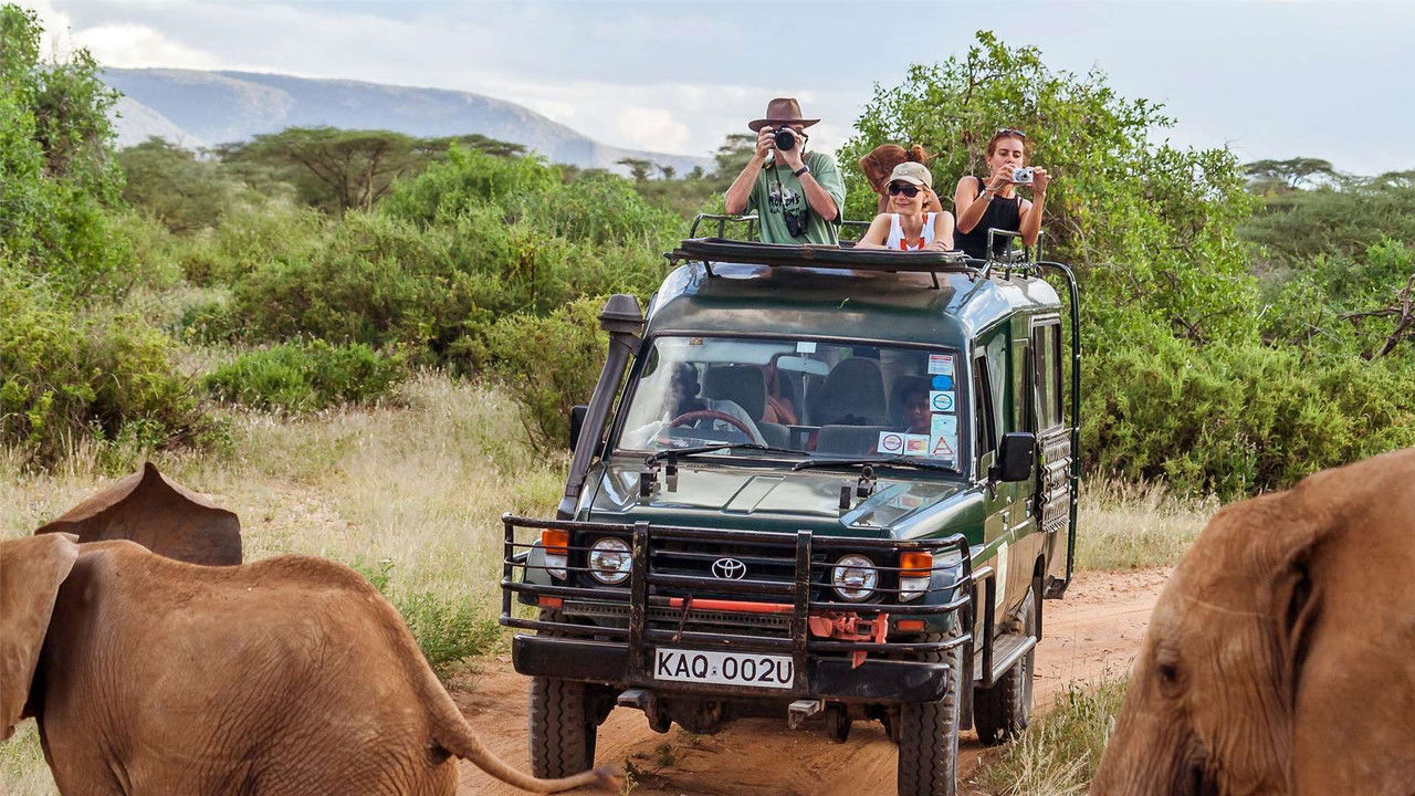 Killer Safari official wallpaper