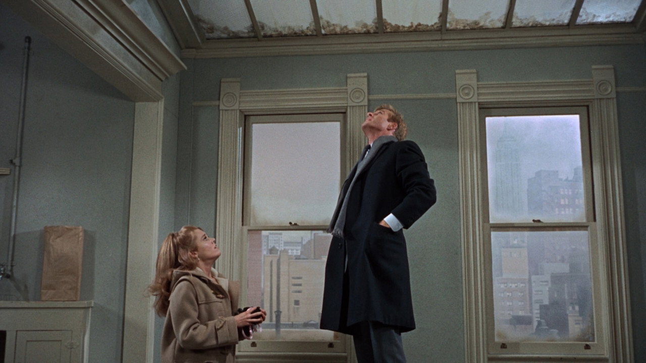Barefoot in the Park background 25