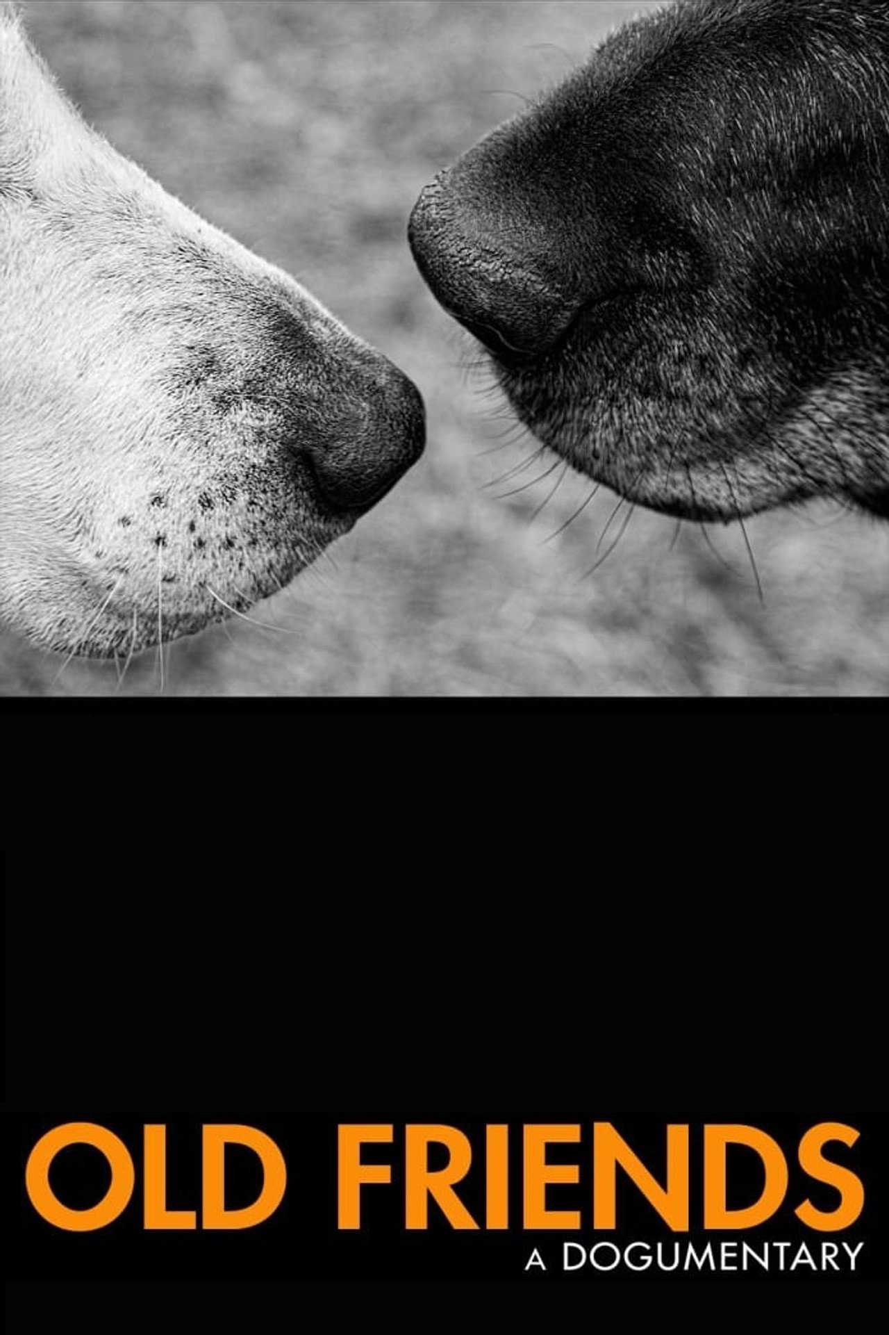 Old Friends: A Dogumentary filmaffisch