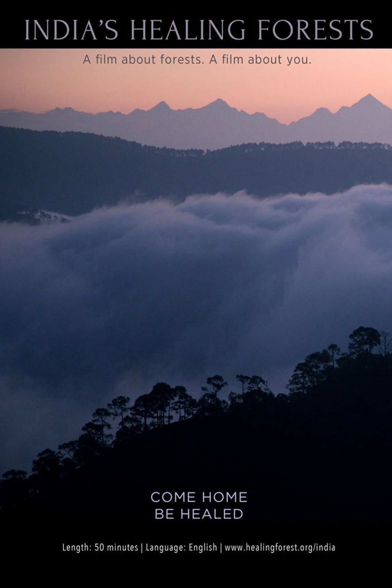 India's Healing Forests