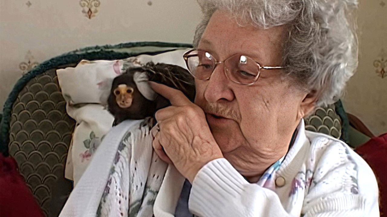 Monkey Business — Épisode 13