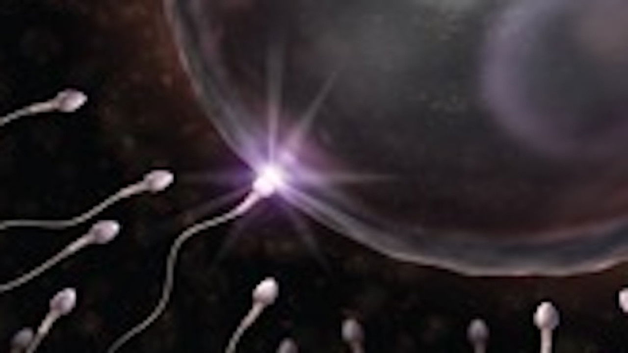 Viaggio nella scienza — Épisode 20