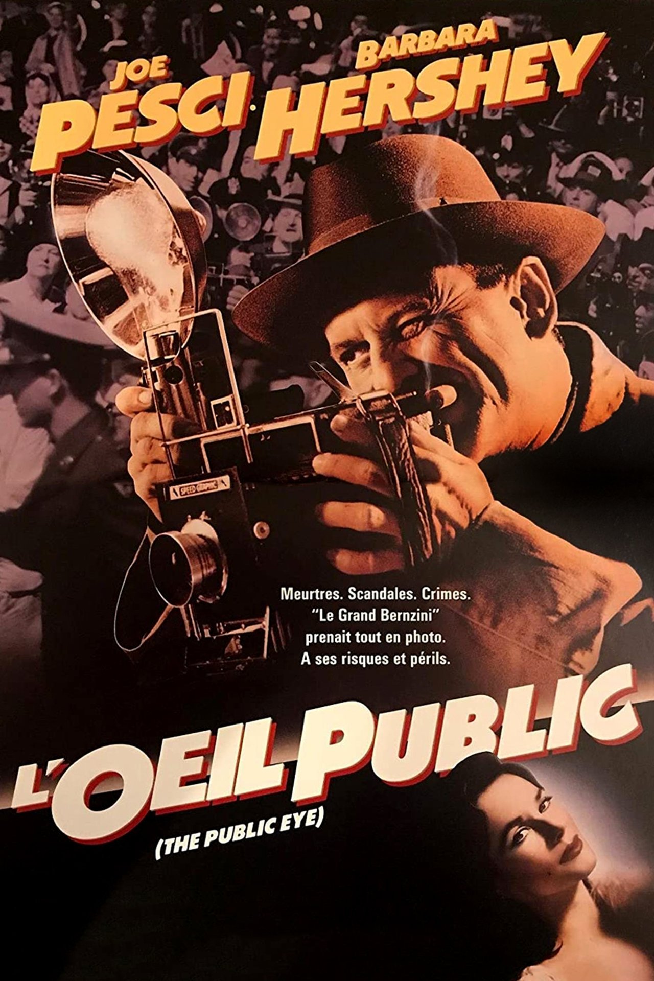 L'Œil public poster