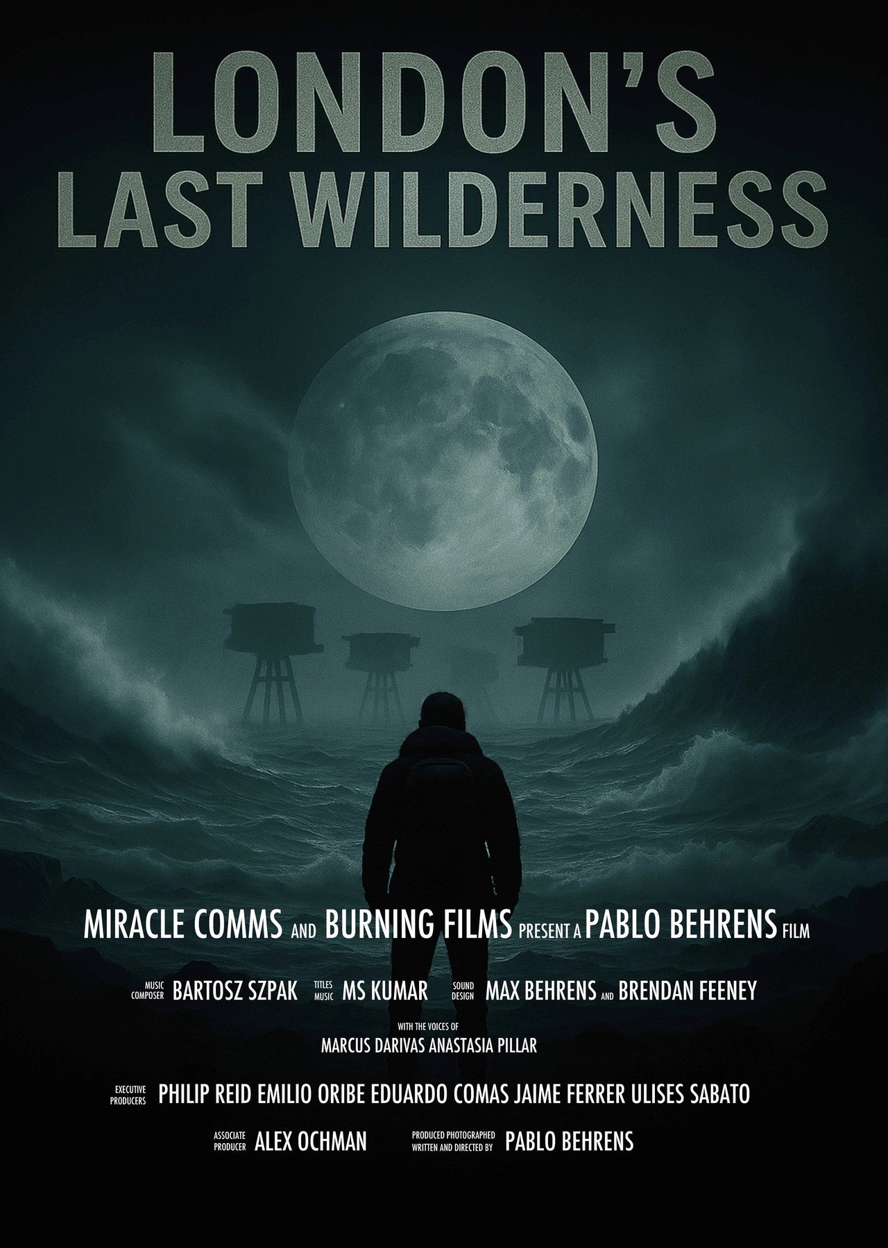 London's Last Wilderness poster