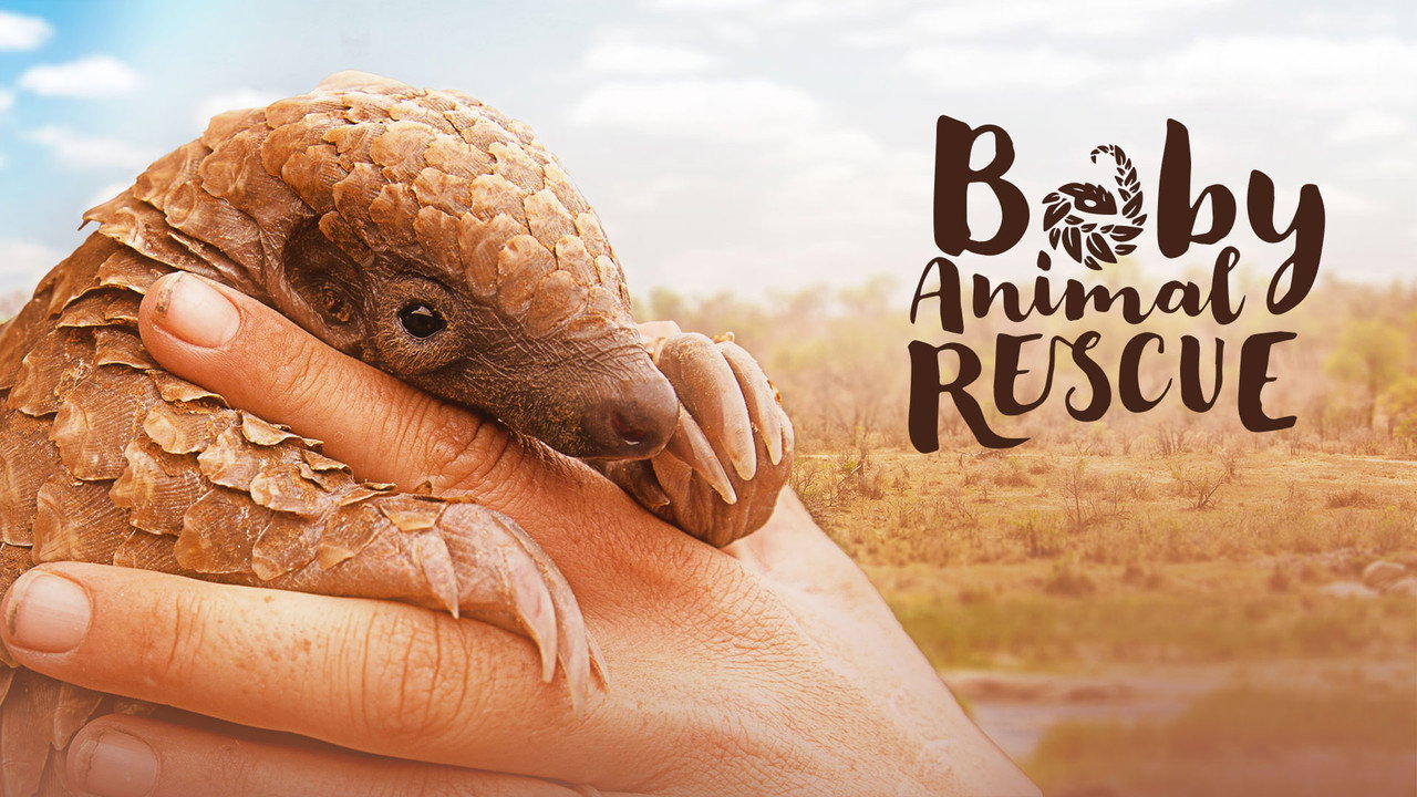 Baby Animal Rescue still 1