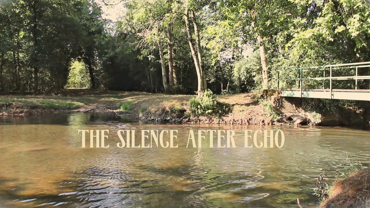 The silence after echo backdrop