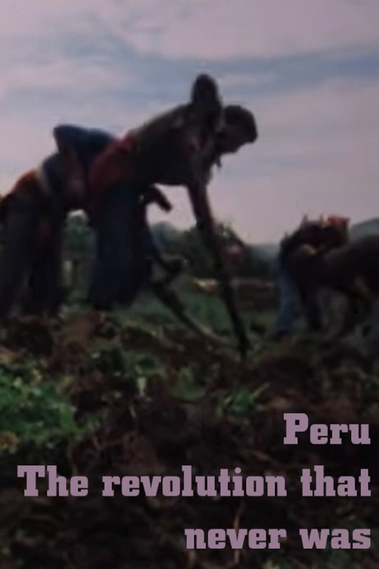 Peru: The Revolution that never was filmaffisch