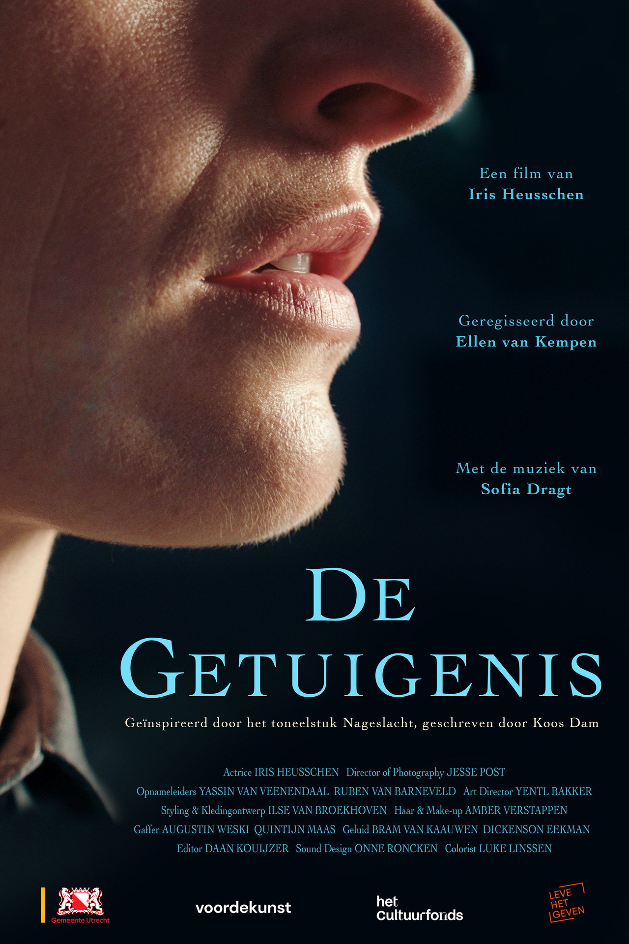 The Testimony filmaffisch