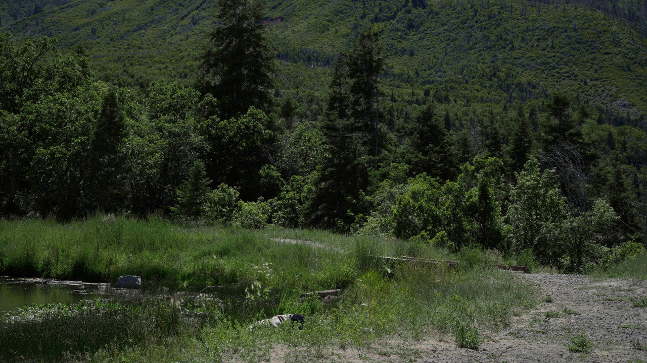 scenes 4