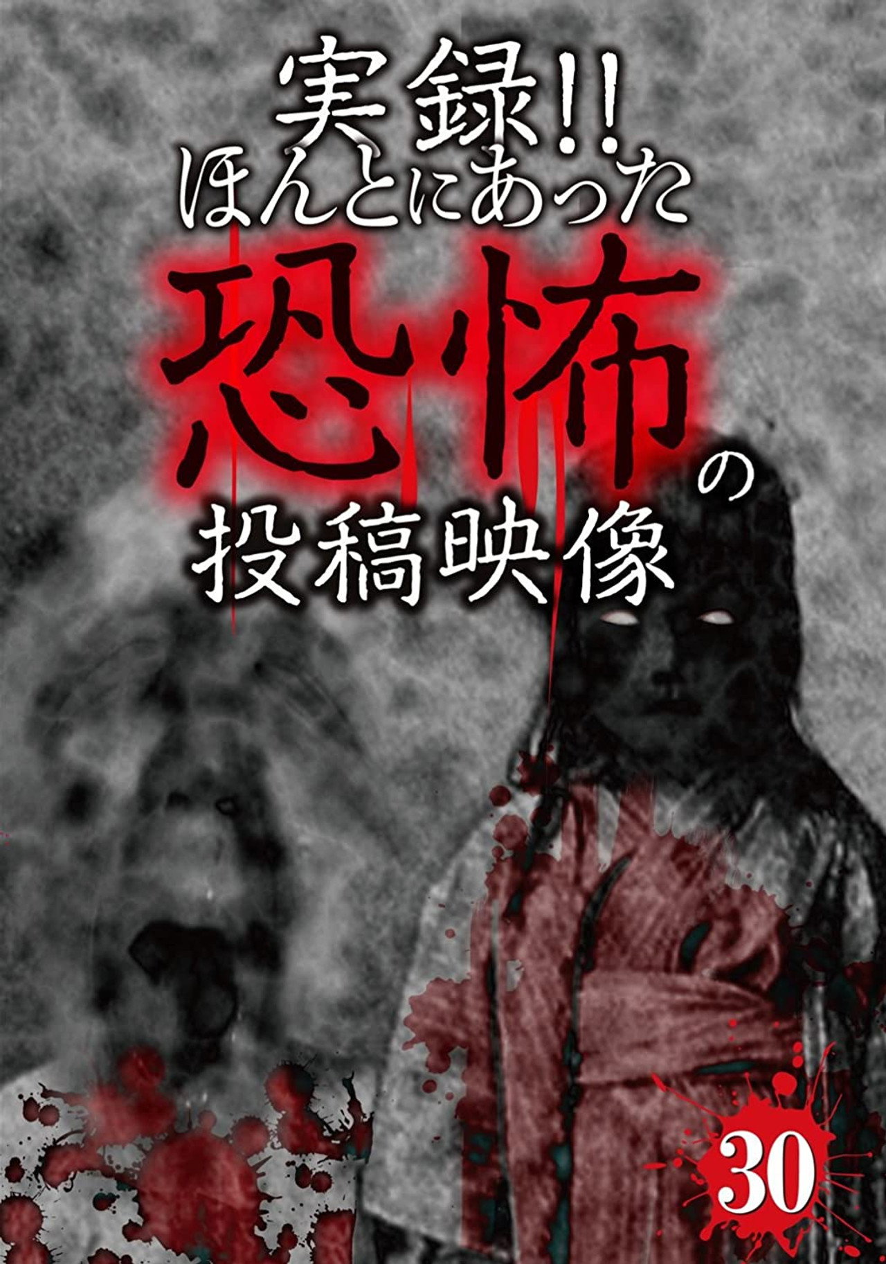 Actual Record! Real Horror Posted Video 30 poster