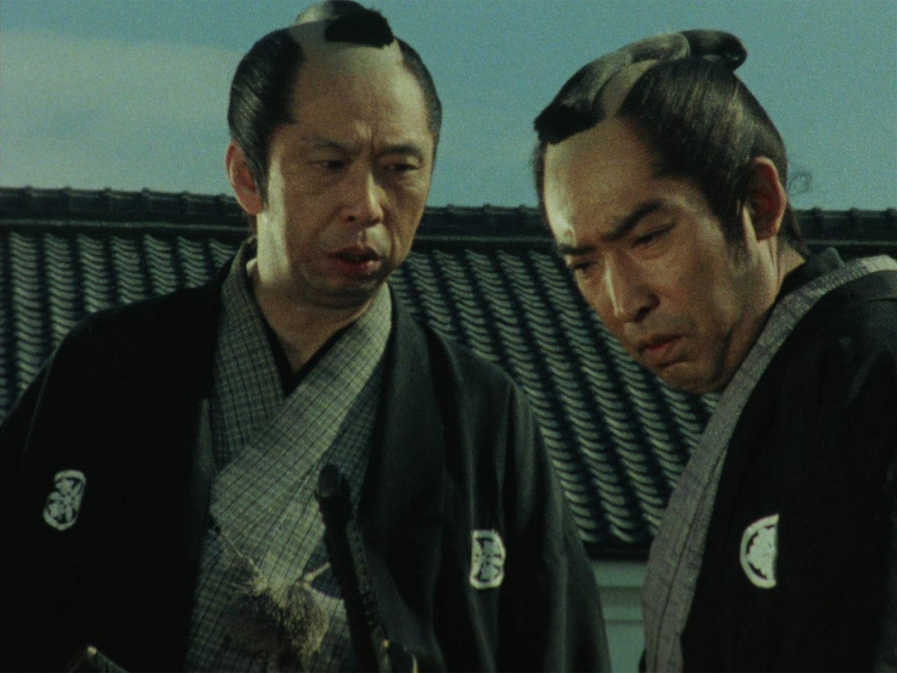 Hissatsu Shigotonin - Season 1 Episode 34 : Episode 34