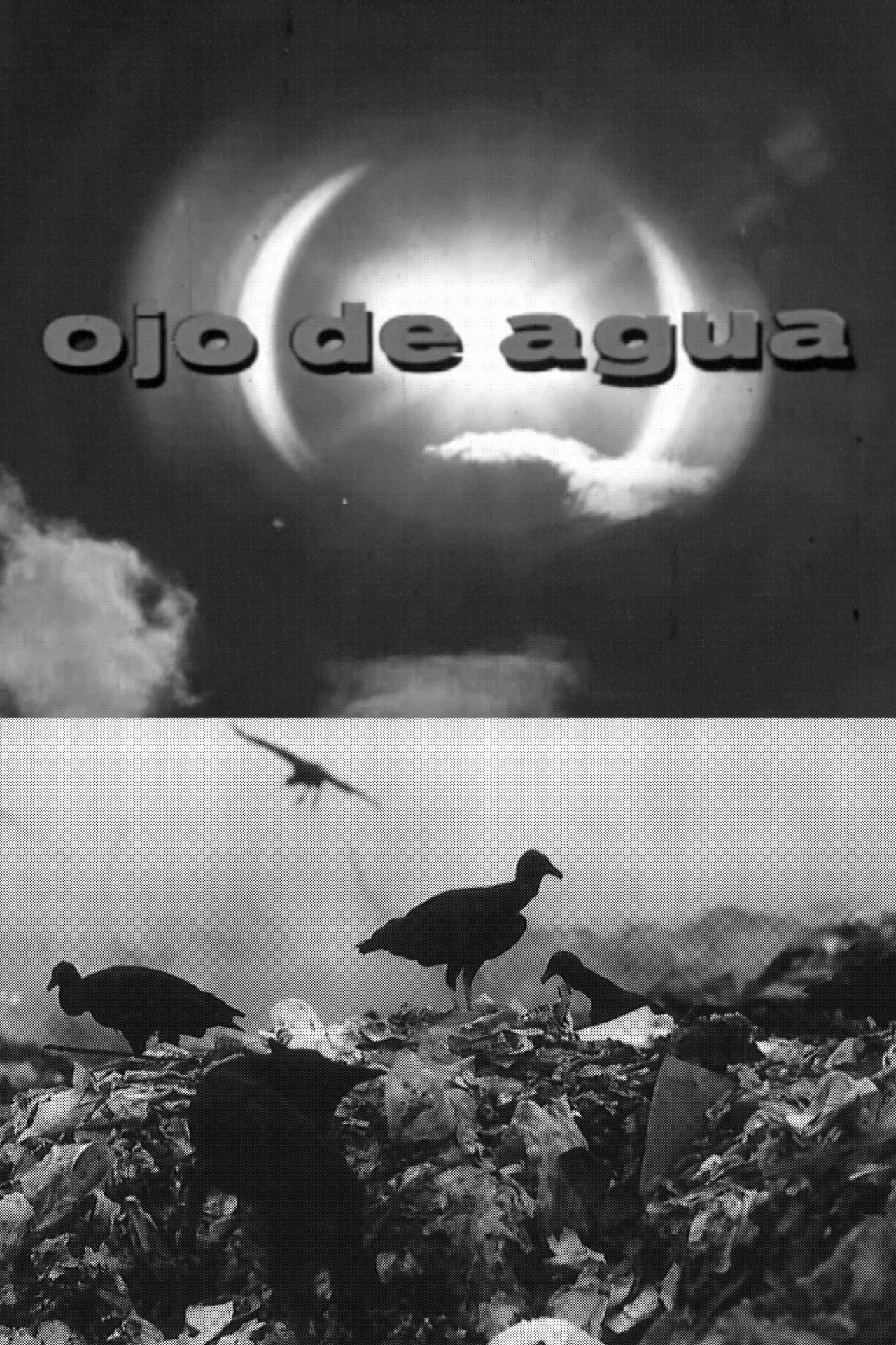 Ojo de Agua filmaffisch