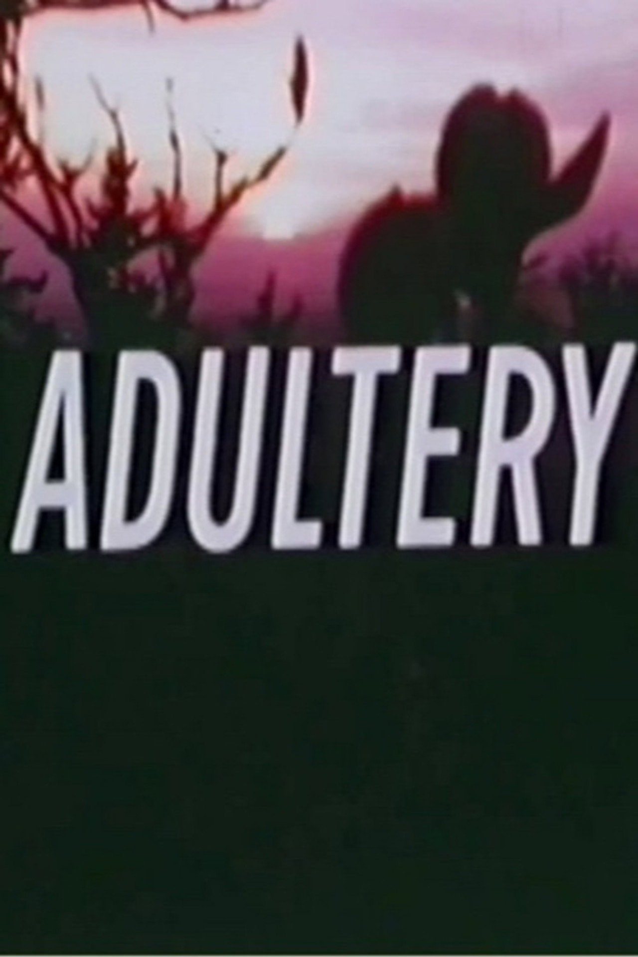 Adultery filmaffisch