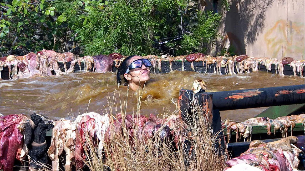 Ich bin ein Star – Showdown der Dschungel-Legenden — Épisode 9