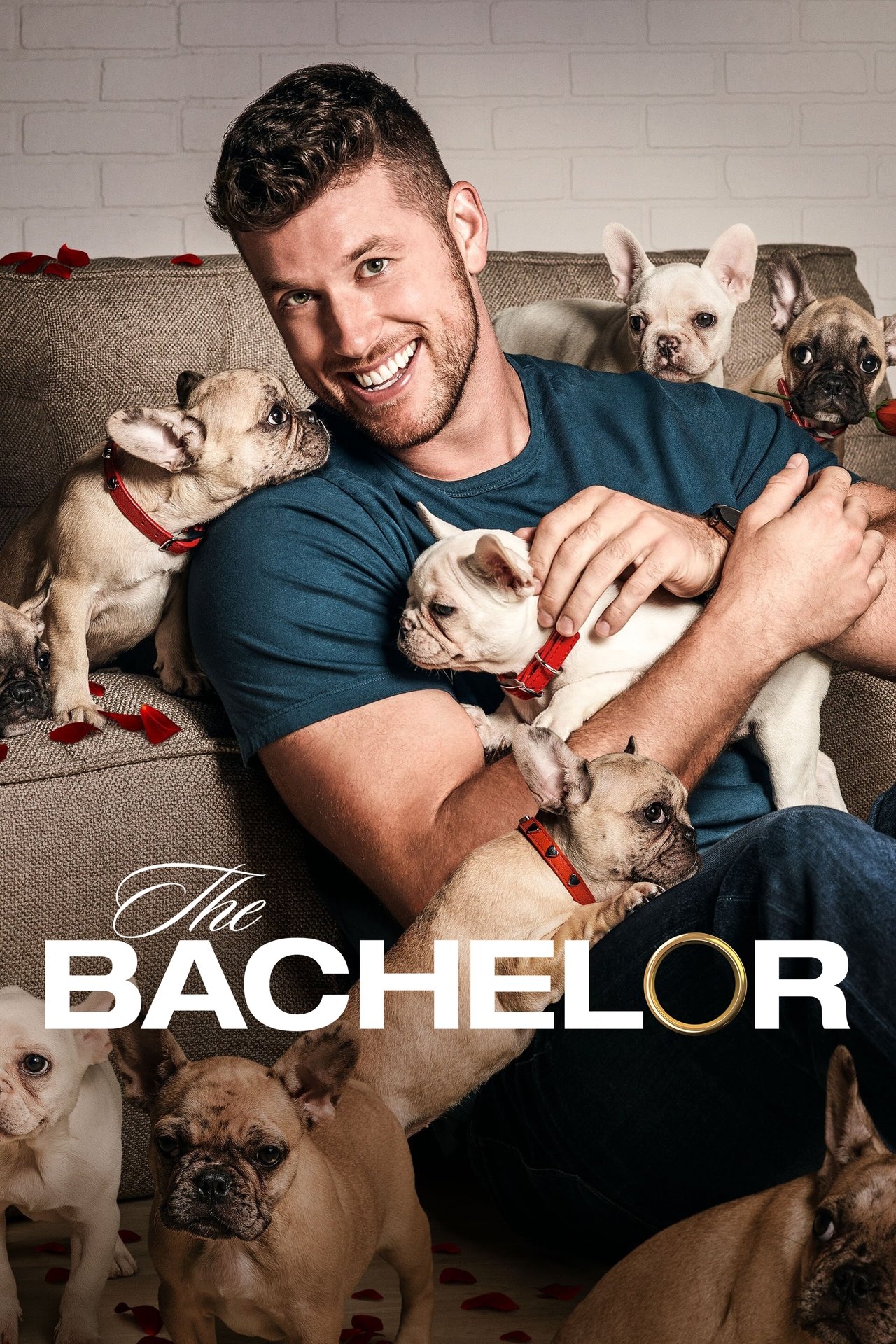 Poster The Bachelor