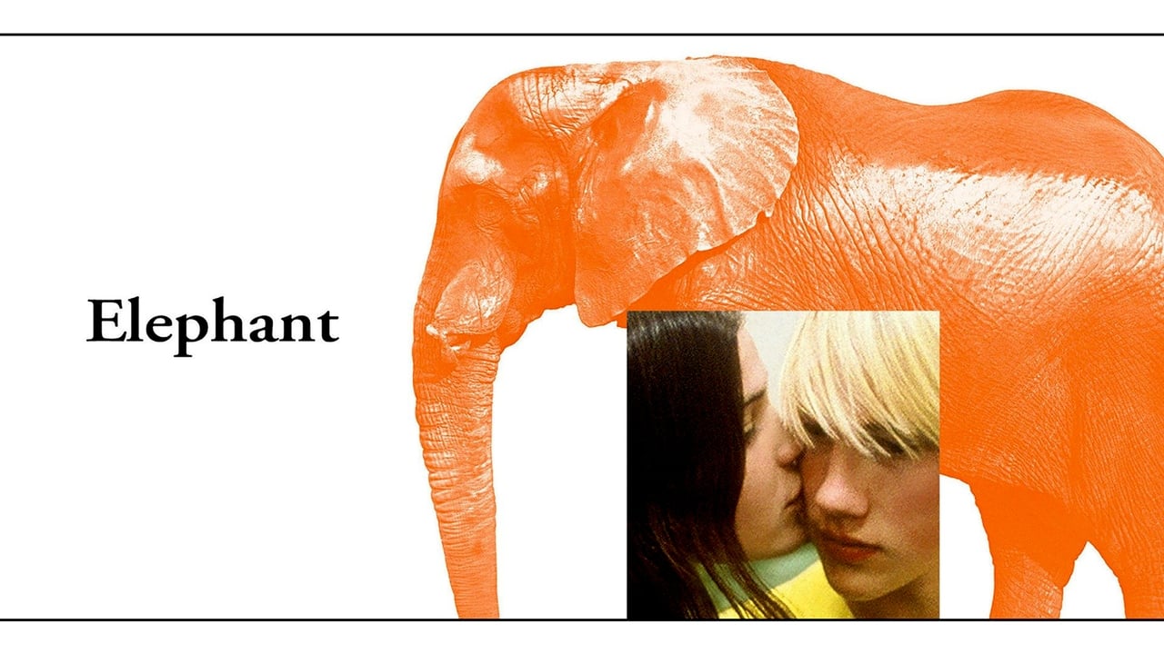 Elephant background