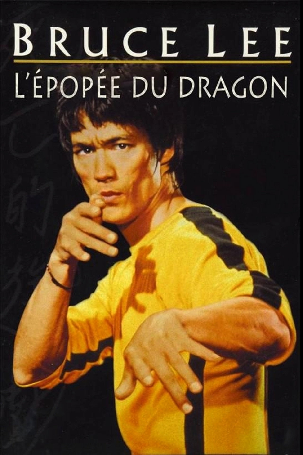 Bruce Lee : L'épopée Du Dragon poster